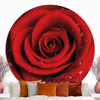 Klebefieber Runde Tapete selbstklebend Rote Rose mit Wassertropfen