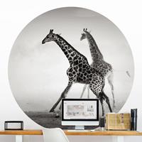 Klebefieber Runde Tapete selbstklebend Giraffenjagd