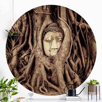 Klebefieber Runde Tapete selbstklebend Buddha in Ayutthaya von Baumwurzeln gesäumt in Braun