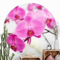 Klebefieber Runde Tapete selbstklebend Nahaufnahme Orchidee
