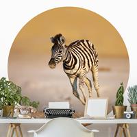 Klebefieber Runde Tapete selbstklebend Zebrafohlen