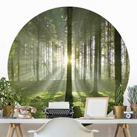 Klebefieber Runde Tapete selbstklebend Wald Spring Fairytale