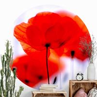 Klebefieber Runde Tapete selbstklebend Magic Poppies