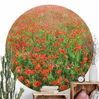 Klebefieber Runde Tapete selbstklebend Mohnblumenfeld