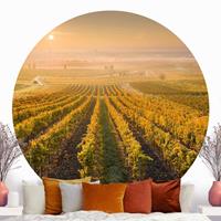 Klebefieber Runde Tapete selbstklebend Herbstliche Weinberge bei Wien