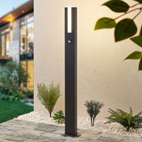 Lucande Virgalia LED tuinpadverlichting, 100 cm