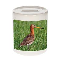 Bellatio Dieren foto spaarpot grutto vogel 9 cm - vogels spaarpotten jongens en meisjes -