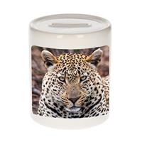 Bellatio Dieren foto spaarpot jaguar 9 cm - jaguars spaarpotten jongens en meisjes -