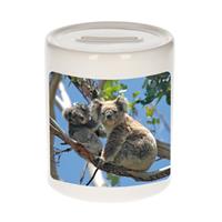 Bellatio Dieren foto spaarpot koala beer 9 cm - koalaberen spaarpotten jongens en meisjes -
