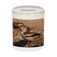 Bellatio Dieren foto spaarpot appelvink vogel 9 cm - vogels spaarpotten jongens en meisjes -