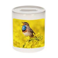 Bellatio Dieren foto spaarpot blauwborst vogel 9 cm - vogels spaarpotten jongens en meisjes -