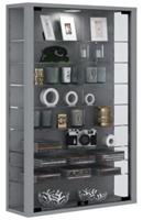 VCM Wandvitrine Sammelvitrine Glasvitrine Wand Vitrine Regal Schrank Glas Hängevitrine Vitrosa Mini, mit LED silber