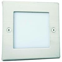 searchlight Search Light Ankle