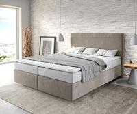 DELIFE Boxspringbett Dream-Well 160x200 cm Mikrofaser Beige