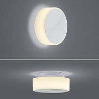 BANKAMP Button LED wandlamp 15,5cm alu