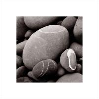 Smooth Pebbles Kunstdruk 40x40cm