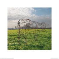 Pyramid Pink Floyd Wireframe Cow Kunstdruk 40x40cm