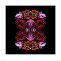 Pyramid Alyson Fennell Paradise of Petals Kunstdruk 60x60cm