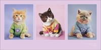 Pyramid Rachael Hale Kitty Couture Kunstdruk 50x100cm