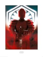 Pyramid Star Wars The Last Jedi Elite Guard Defend Kunstdruk 60x80cm