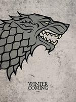 Pyramid Game of Thrones Stark Kunstdruk 60x80cm