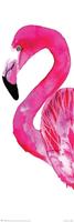 Sofie Rolfsdotter Flamingo Poster 30,5x91,5cm