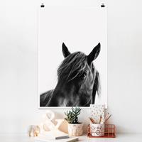 Klebefieber Poster Tiere Neugieriges Pferd