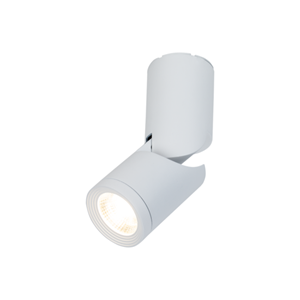 Groenovatie Opbouwspot Rond, Kantelbaar, GU10 Fitting, Mat Wit