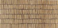 Alana Stone vloertegel wood grijs 60x120 gerectificeerd