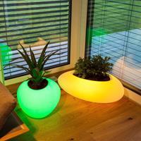 DEGARDO Decoratielamp Storus VI LED RGBW, beplantbaar wit