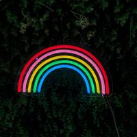 Groenovatie LED Neon Bord Regenboog, Incl. Adapter, 30x17cm, Multicolor