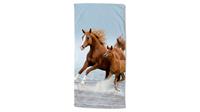 Good Morning Strandtuch FREE 75x150 cm Braun und Blau Mehrfarbig