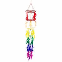 Spiru Hanger met 7 Chakra Dromenvangers