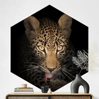 Hexagon Fototapete selbstklebend Resting Leopard