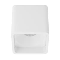 BRUMBERG Qubic LED-Anbau-Downlight direkt/indirekt