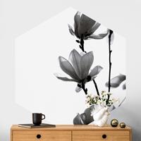 Klebefieber Hexagon Fototapete selbstklebend Frühlingsbote Magnolie Schwarz Weiß