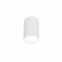 Euluna Plafondspot Point Plexi L wit