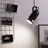 Paulmann Neordic Lavea planten-hanglamp, zwart