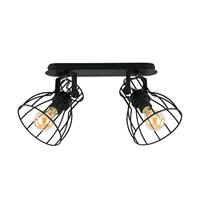 EULUNA Plafondlamp Alano, zwart, 2-lamps