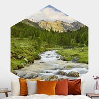 Klebefieber Hexagon Fototapete selbstklebend Debanttal Nationalpark Hohe Tauern