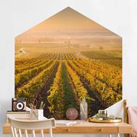 Klebefieber Hexagon Fototapete selbstklebend Herbstliche Weinberge bei Wien