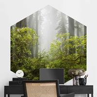 Klebefieber Hexagon Fototapete selbstklebend Nebliger Waldpfad