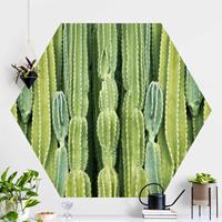 Klebefieber Hexagon Fototapete selbstklebend Kaktus Wand