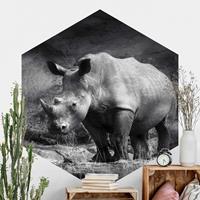 Klebefieber Hexagon Fototapete selbstklebend Lonesome Rhinoceros