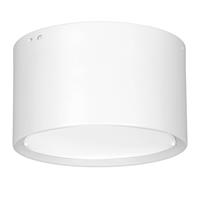 Euluna LED downlight Ita in wit met diffusor, Ã 15 cm
