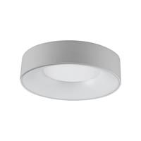 EVN LED-Deckenleuchte R30, Ø 30 cm, silber