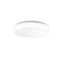 RZB 312084.002.2.76 - Ceiling-/wall luminaire 1x13,5W 312084.002.2.76