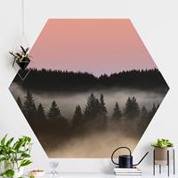 Klebefieber Hexagon Fototapete selbstklebend Verträumter Waldnebel