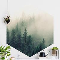 Klebefieber Hexagon Fototapete selbstklebend Wald im Nebel Erwachen