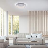 Leuchten Direkt home24 LED-Deckenleuchte Anika